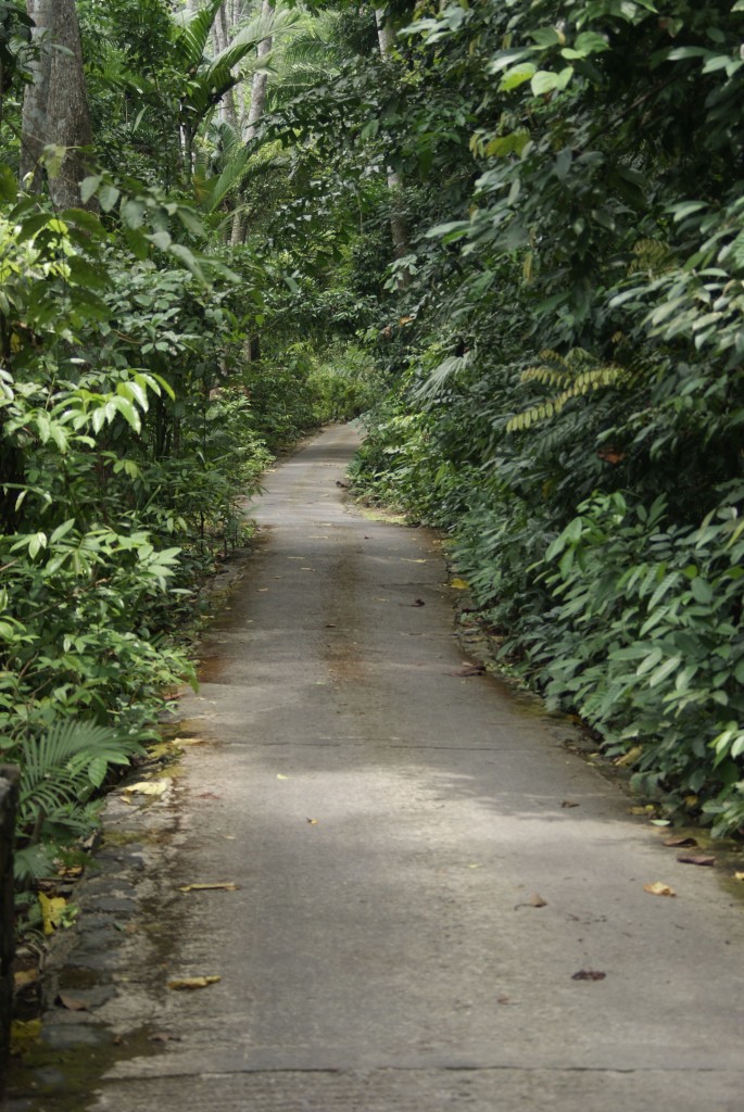 It's a jungle out there, in a good way.
