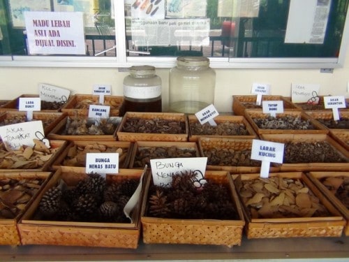 secret-ingredients Langkawi's Gamat Sea Cucumber