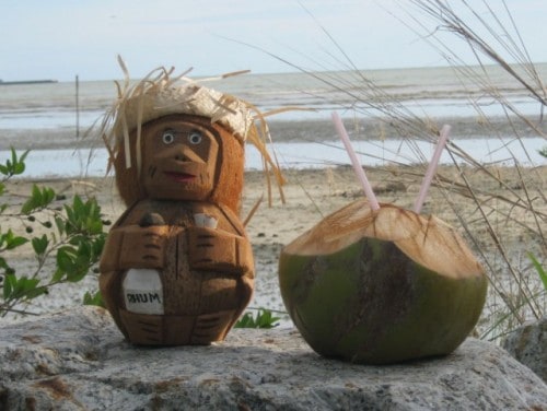 coconut-man The Humble Coconut