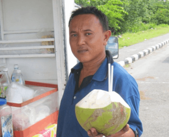 The Humble Coconut