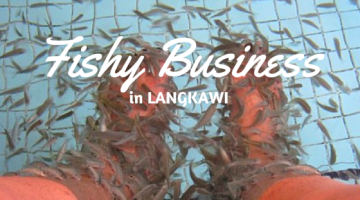 Fishy Business in Langkawi