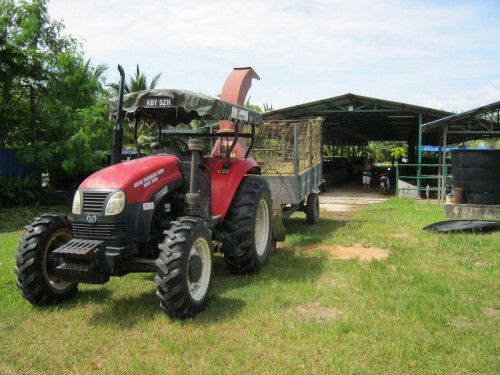 tractor Langkawi Buffalo Park