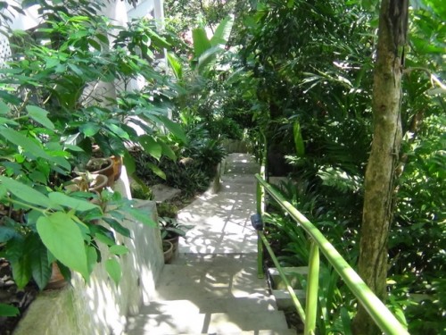 Ambong-Ambong Rainforest Retreat