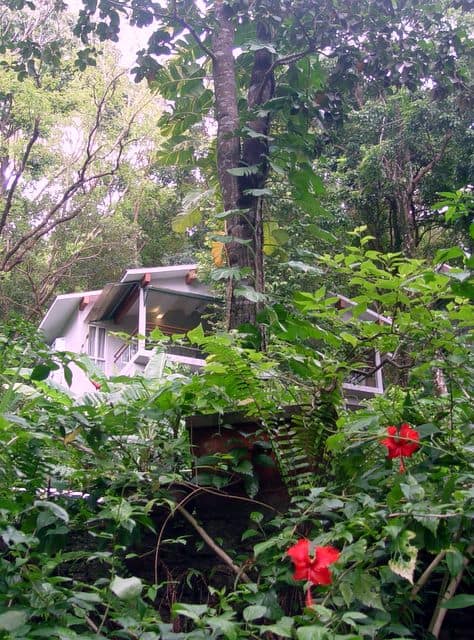 Ambong Ambong Rainforest Retreat