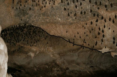 Langkawi sightseeing