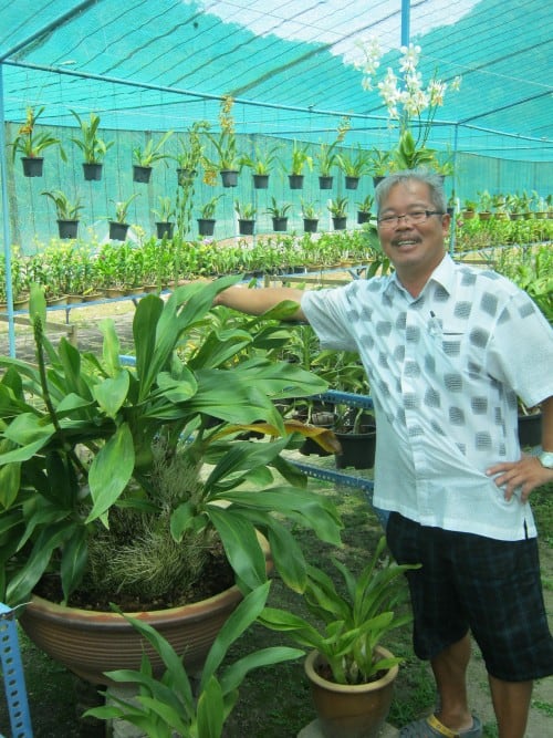 Visit to the Langkawi Orchid Farm