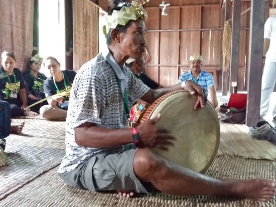 Rainforest World Music Festival 2015
