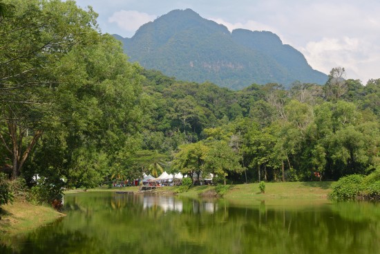 Rainforest World Music Festival 2015