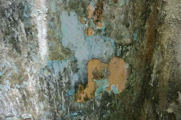 The Colorful History of Jerejak Island