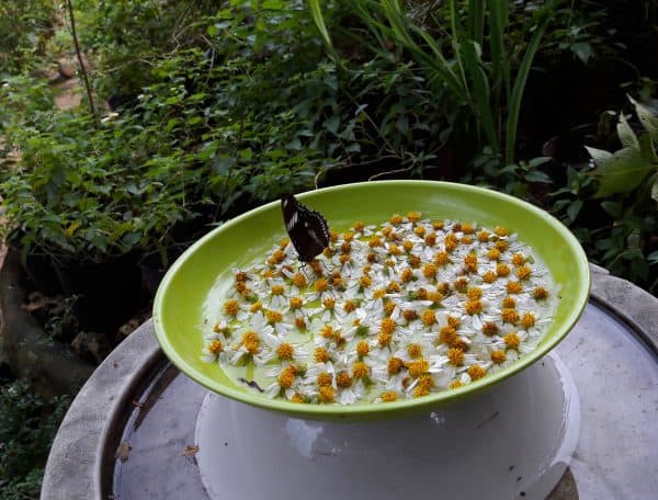 Puerto Princesa, the Jewel of Palawan