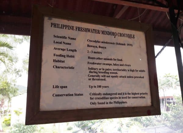 Puerto Princesa, the Jewel of Palawan