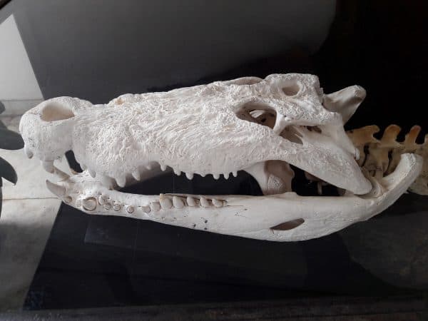 Puerto Princesa, the Jewel of Palawan