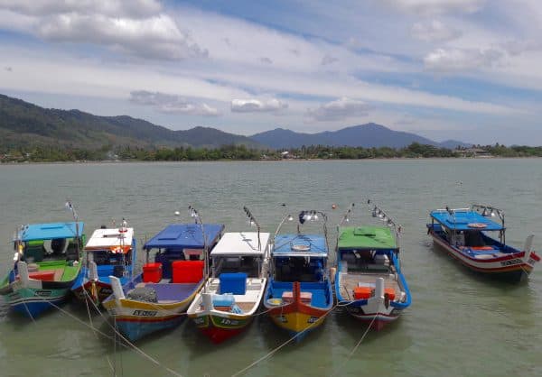 Choosing Langkawi Homestays or Kampung Stays