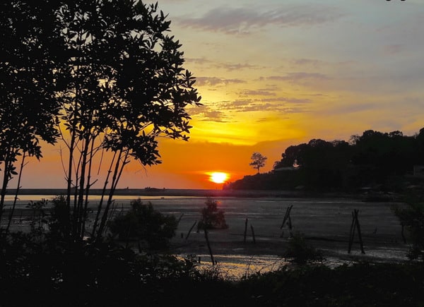 Choosing Langkawi Homestays or Kampung Stays