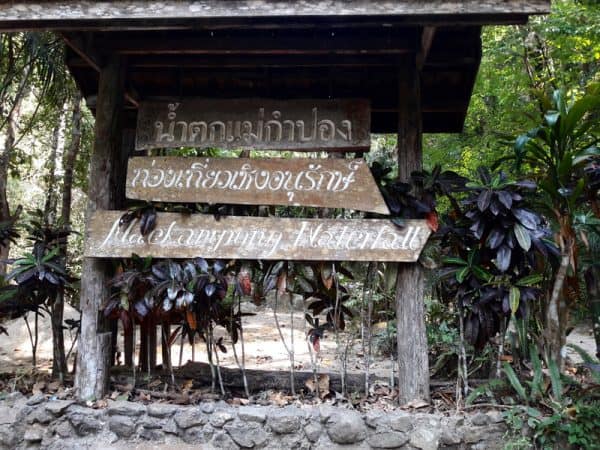 Flight of the Gibbon zipline