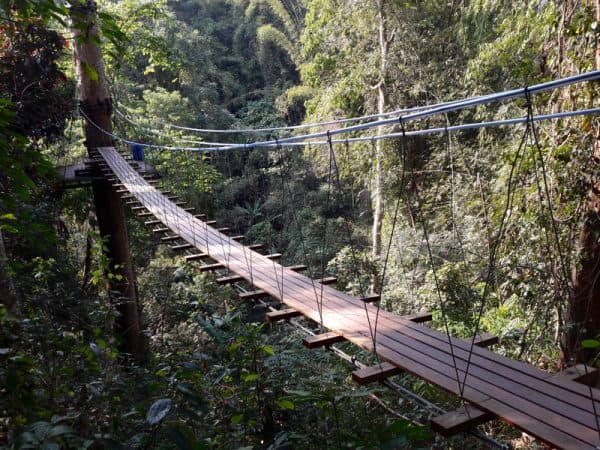 Flight of the Gibbon zipline