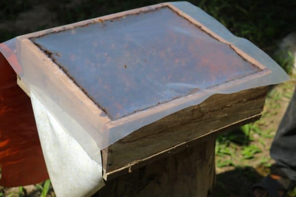 Meeting Malaysian Stingless Bees in Langkawi