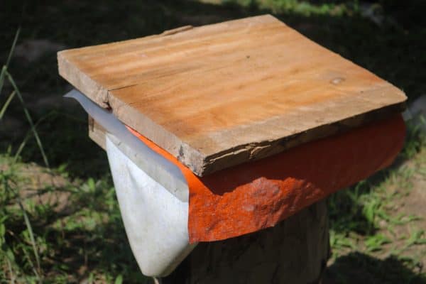 Meeting Malaysian Stingless Bees in Langkawi