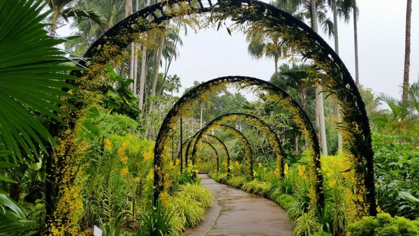 Best Things To Do In Singapore