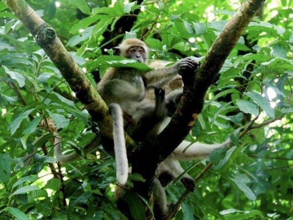 Best Things To Do In Singapore