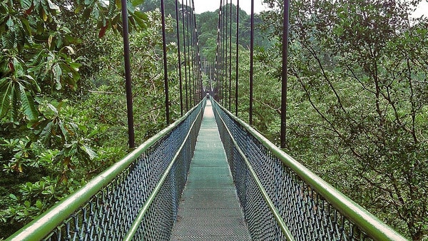 Best Things To Do In Singapore