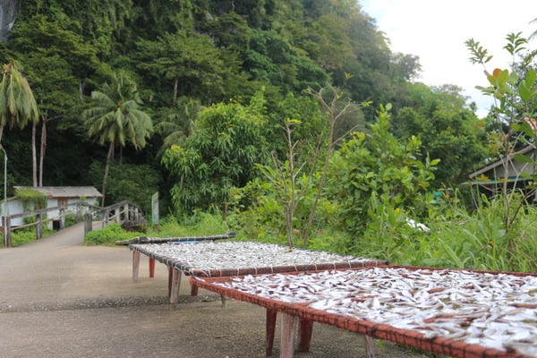Unique Things to Do in Satun, Thailand