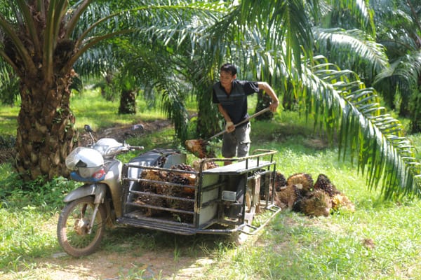 Unique Things to Do in Satun, Thailand