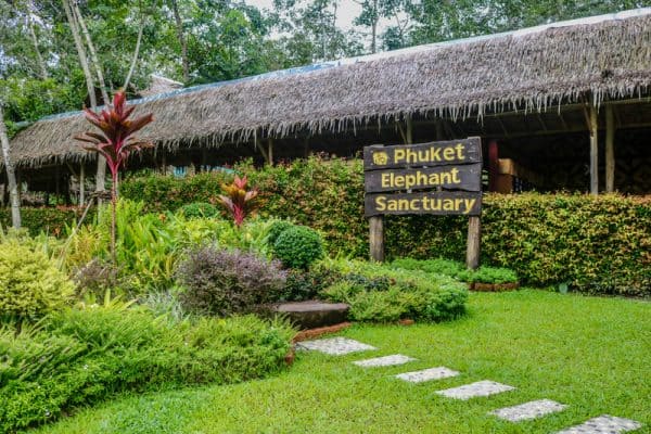 Best Phuket Elephant Sanctuary