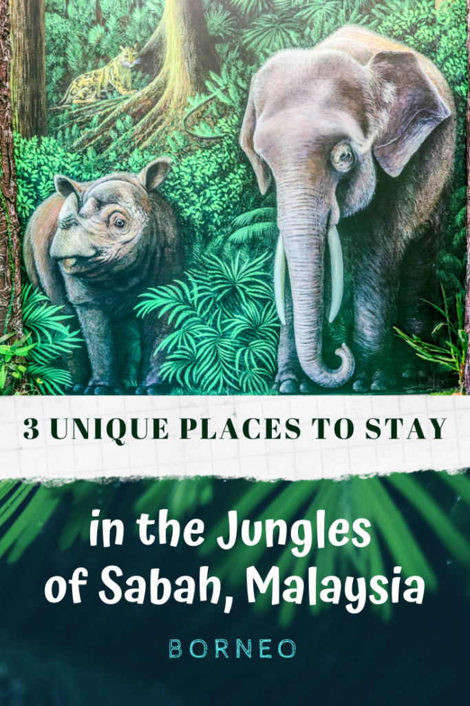 3 Unique Places to Stay in the Jungles of Sabah