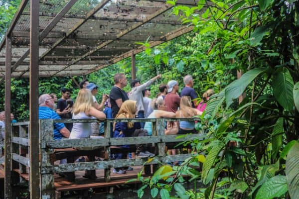 Top Things to Do in Sandakan