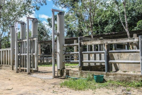 Best Phuket Elephant Sanctuary