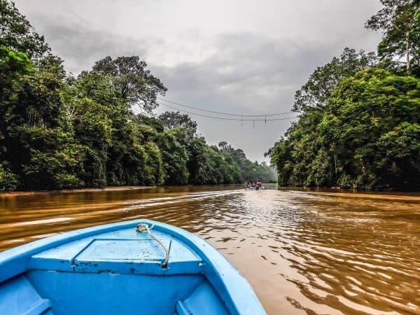 Best Jungle Resorts in Sabah, Malaysia