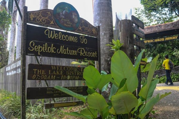 Best Jungle Resorts in Sabah, Malaysia