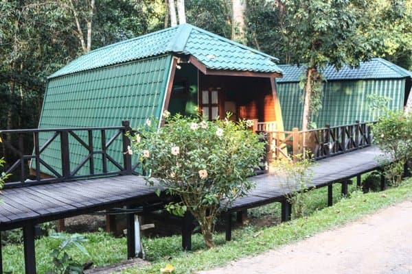 Best Jungle Resorts in Sabah, Malaysia