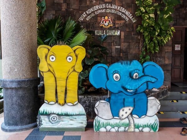 Should You Visit Kuala Gandah Elephant Sanctuary?