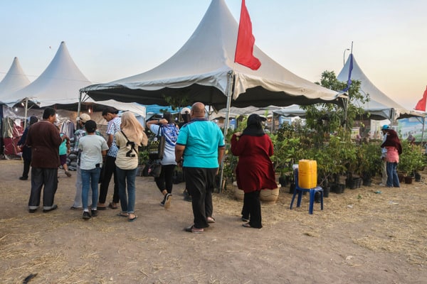 Discovering Perlis at the East Wind Festival