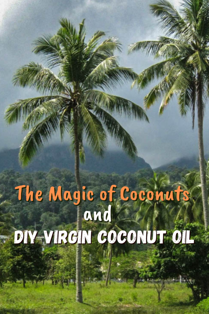 The Magic of Coconuts and DIY Virgin Coconut Oil