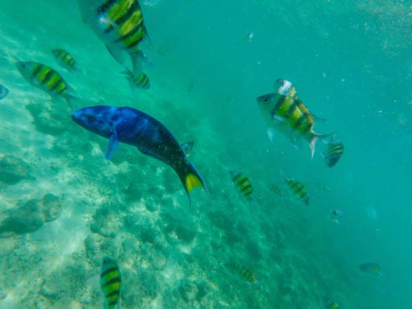 Pulau Payar Marine Park, Malaysia