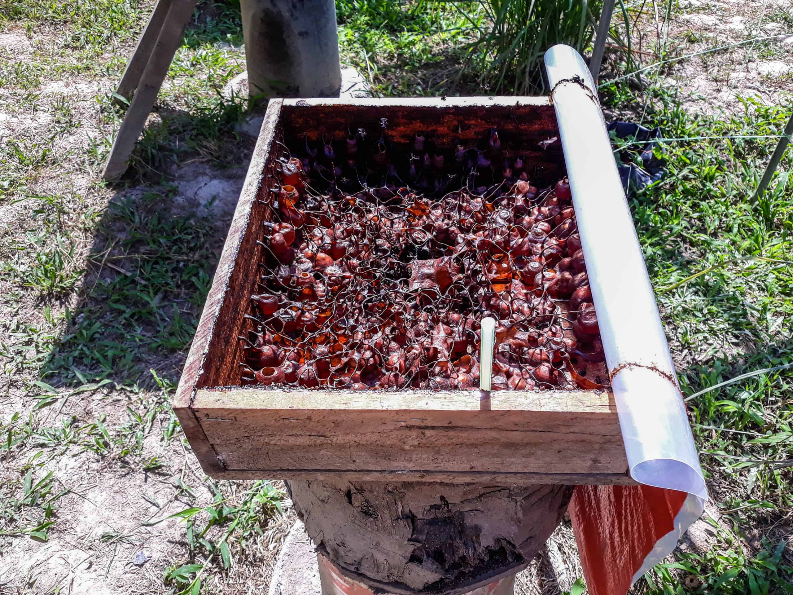 Free Things to Do in Langkawi, Malaysia