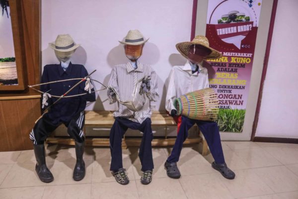 Kedah Paddy Museum