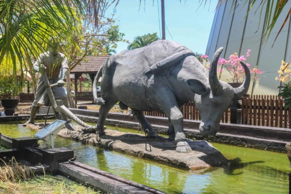 Kedah Paddy Museum