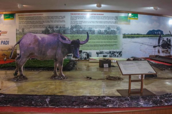 Kedah Paddy Museum
