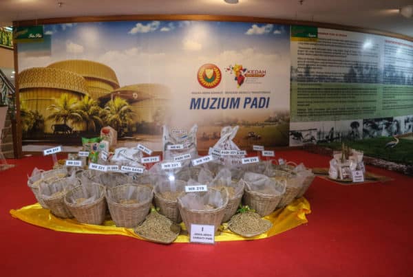 Things to Do in Alor Setar