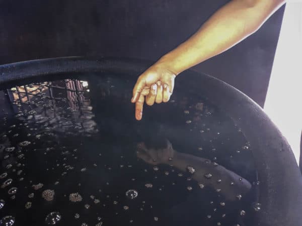Gamat Sea Cucumber, Ginseng of the Sea