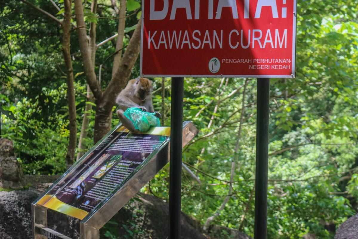 Langkawi Picnic Spots Loved by Locals