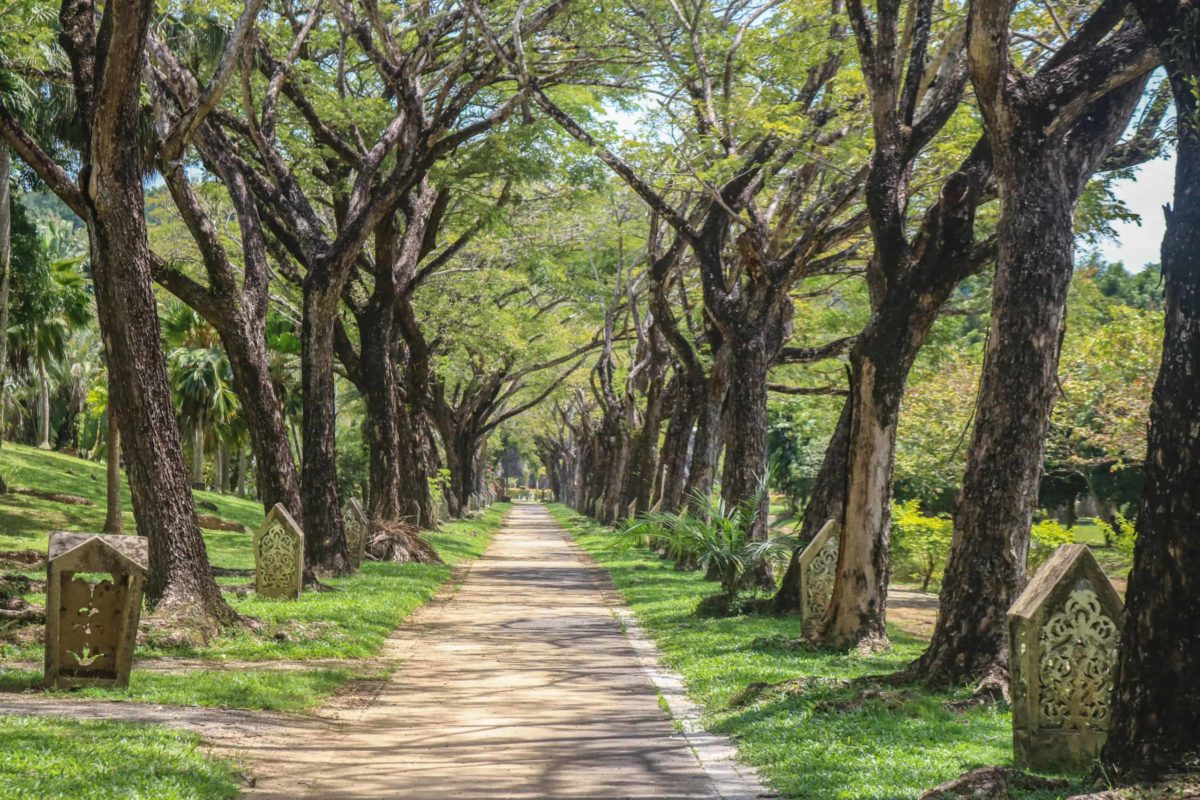 Langkawi Picnic Spots Loved by Locals