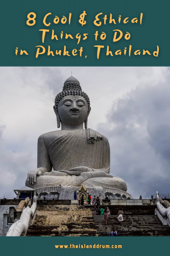 8 Cool (and Ethical) Things to See & Do in Phuket - The Island Drum