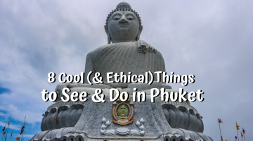 8 Cool (and Ethical) Things to Do in Phuket