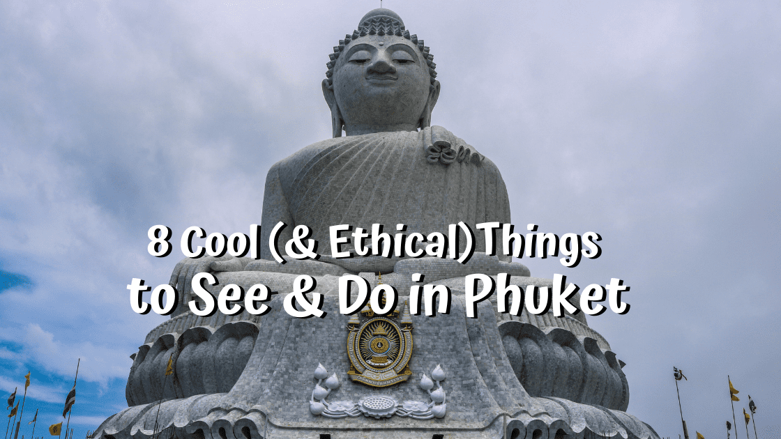 8 Cool (and Ethical) Things to Do in Phuket - The Island Drum