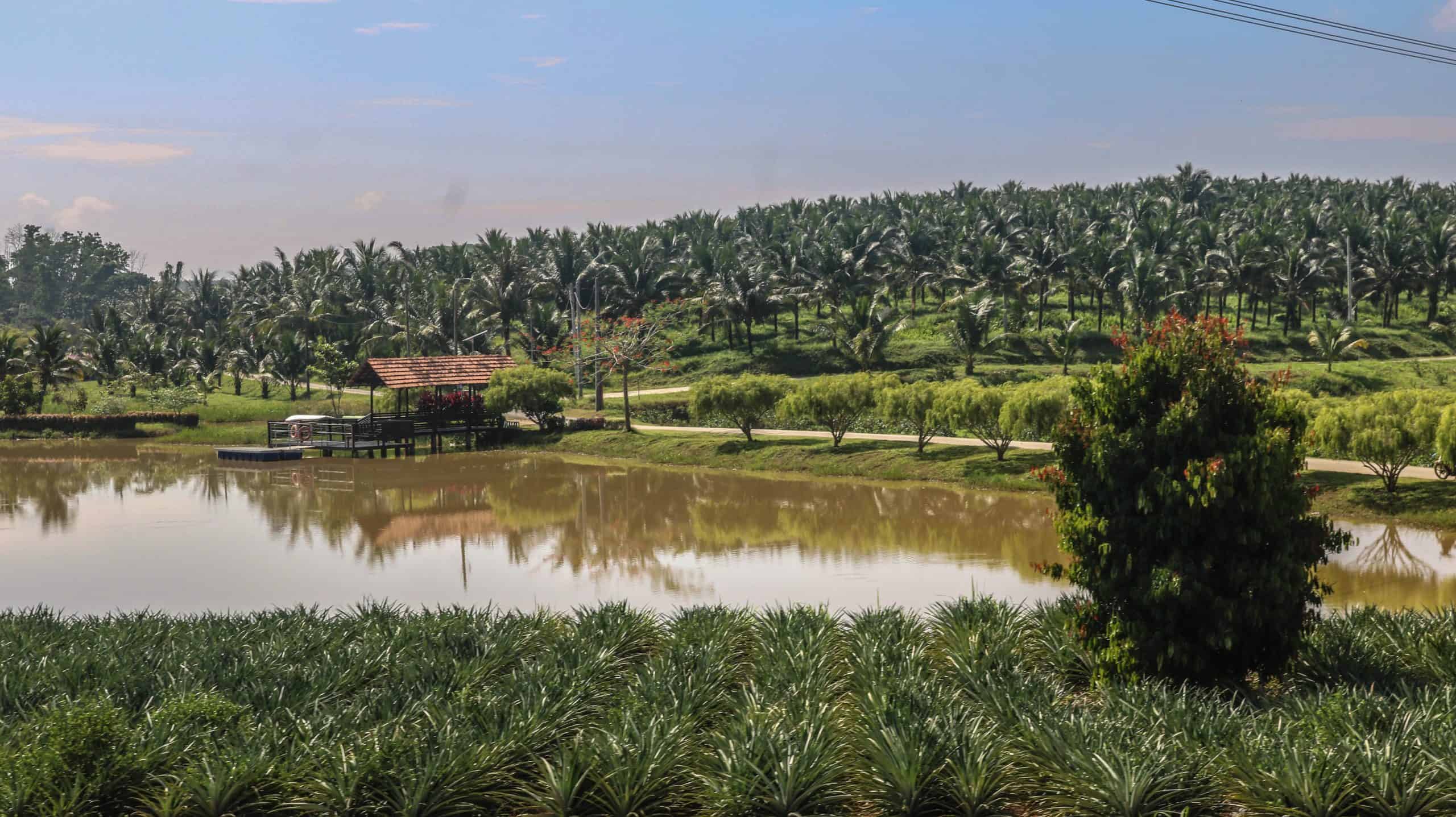 Selangor Fruit Valley Agro Adventure
